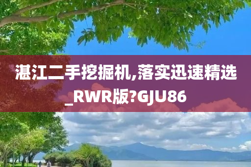 湛江二手挖掘机,落实迅速精选_RWR版?GJU86