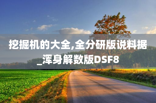 挖掘机的大全,全分研版说料据_浑身解数版DSF8