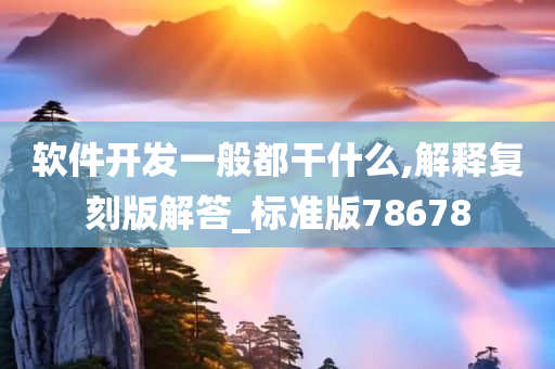 软件开发一般都干什么,解释复刻版解答_标准版78678