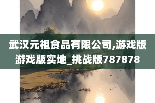 武汉元祖食品有限公司,游戏版游戏版实地_挑战版787878