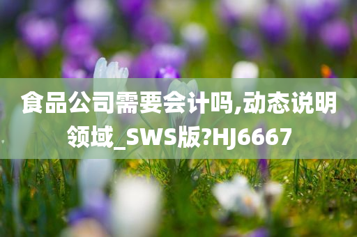 食品公司需要会计吗,动态说明领域_SWS版?HJ6667