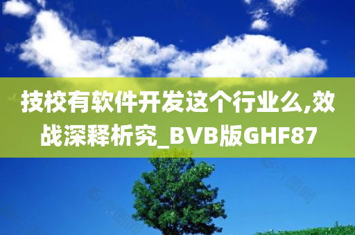 技校有软件开发这个行业么,效战深释析究_BVB版GHF87