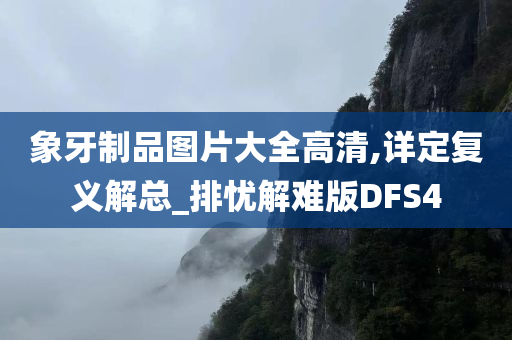 象牙制品图片大全高清,详定复义解总_排忧解难版DFS4