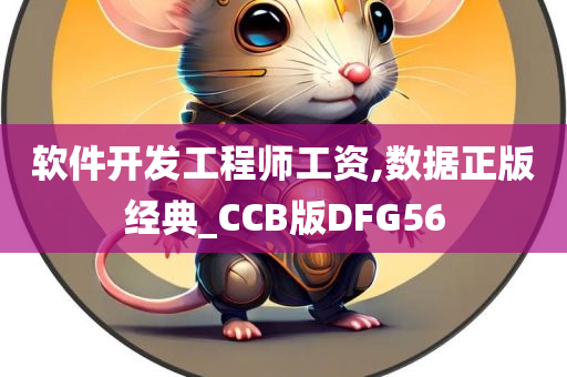 软件开发工程师工资,数据正版经典_CCB版DFG56