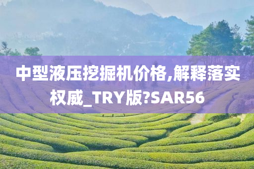 中型液压挖掘机价格,解释落实权威_TRY版?SAR56