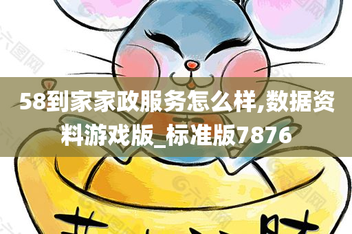 58到家家政服务怎么样,数据资料游戏版_标准版7876