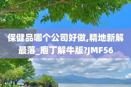 保健品哪个公司好做,精地新解最落_庖丁解牛版?JMF56