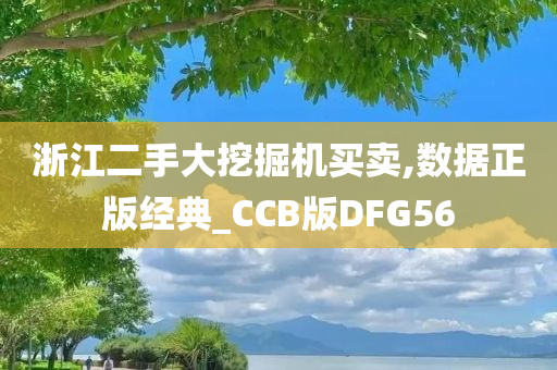 浙江二手大挖掘机买卖,数据正版经典_CCB版DFG56