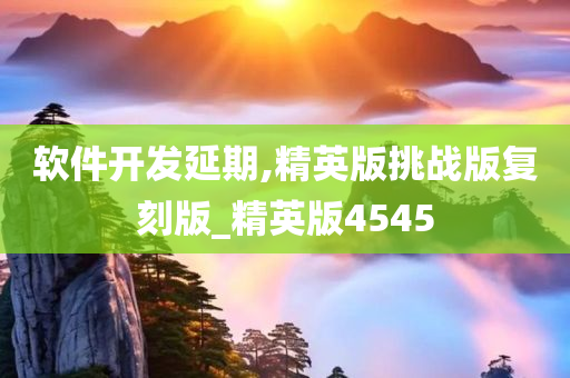 软件开发延期,精英版挑战版复刻版_精英版4545