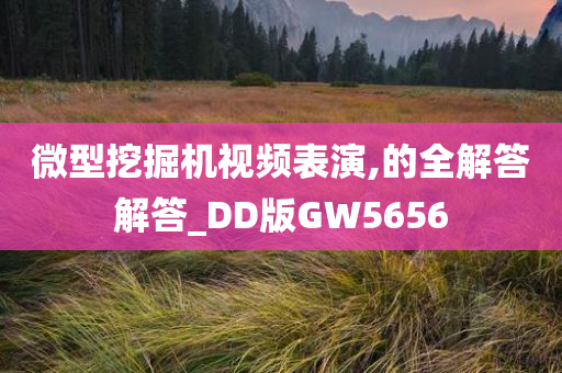 微型挖掘机视频表演,的全解答解答_DD版GW5656