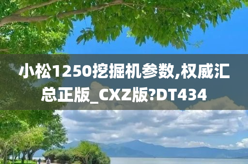 小松1250挖掘机参数,权威汇总正版_CXZ版?DT434