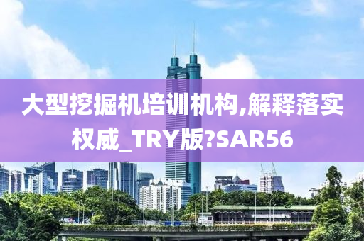 大型挖掘机培训机构,解释落实权威_TRY版?SAR56