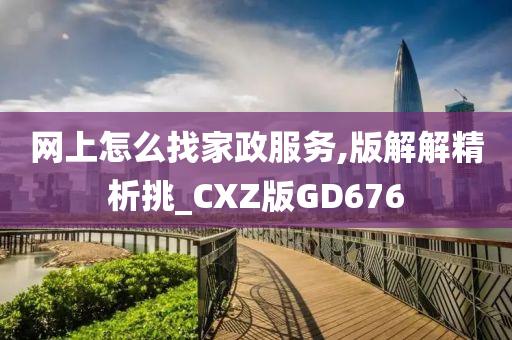 网上怎么找家政服务,版解解精析挑_CXZ版GD676