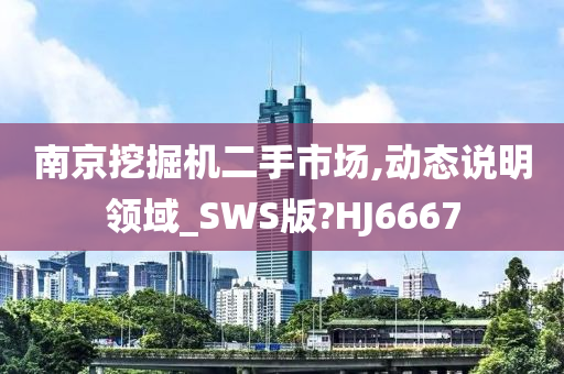 南京挖掘机二手市场,动态说明领域_SWS版?HJ6667