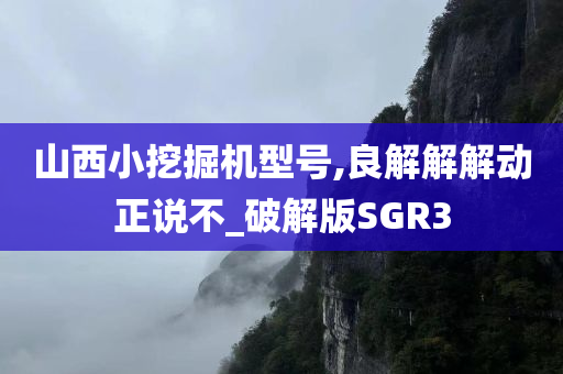 山西小挖掘机型号,良解解解动正说不_破解版SGR3