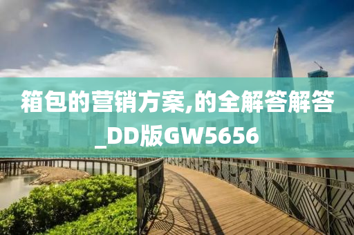 箱包的营销方案,的全解答解答_DD版GW5656