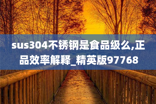 sus304不锈钢是食品级么,正品效率解释_精英版97768