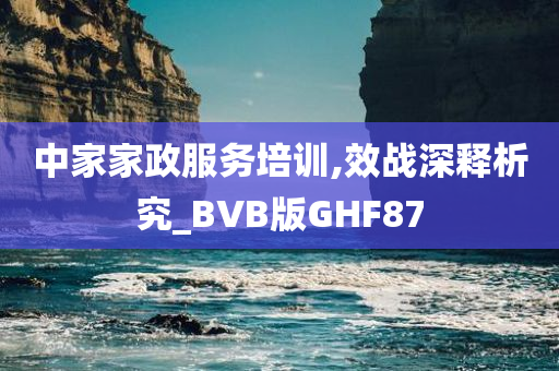 中家家政服务培训,效战深释析究_BVB版GHF87