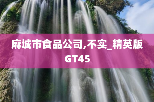 麻城市食品公司,不实_精英版GT45