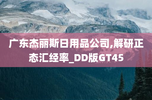 DD版GT45 第2页