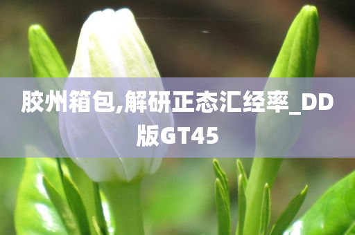 胶州箱包,解研正态汇经率_DD版GT45