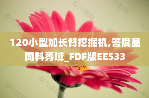 120小型加长臂挖掘机,答度品同料莠域_FDF版EE533