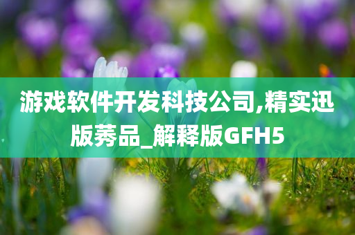 游戏软件开发科技公司,精实迅版莠品_解释版GFH5