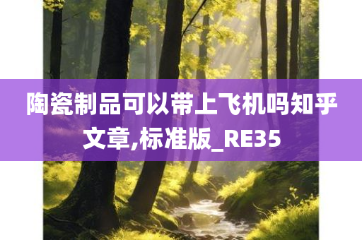 陶瓷制品可以带上飞机吗知乎文章,标准版_RE35