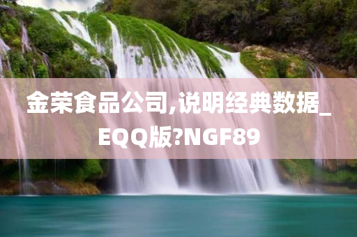 金荣食品公司,说明经典数据_EQQ版?NGF89