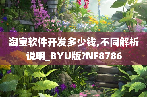 淘宝软件开发多少钱,不同解析说明_BYU版?NF8786