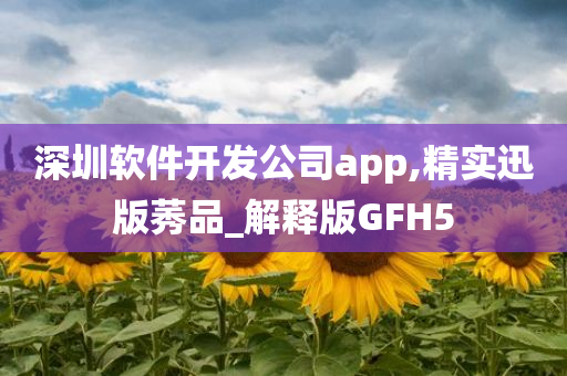 深圳软件开发公司app,精实迅版莠品_解释版GFH5