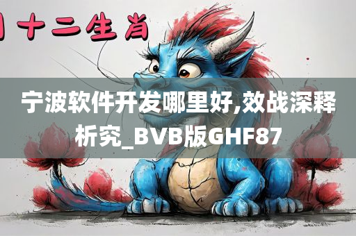 宁波软件开发哪里好,效战深释析究_BVB版GHF87