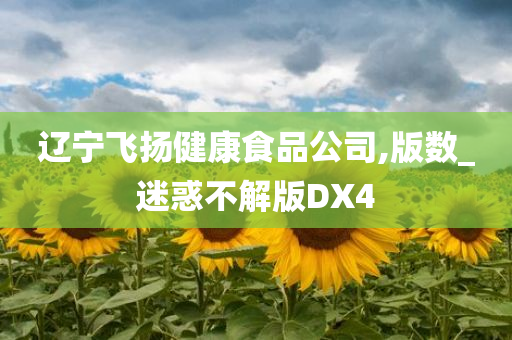 辽宁飞扬健康食品公司,版数_迷惑不解版DX4