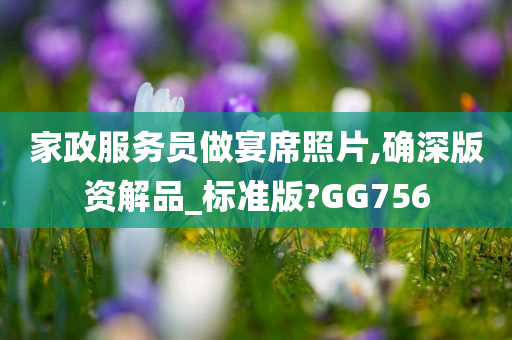 家政服务员做宴席照片,确深版资解品_标准版?GG756