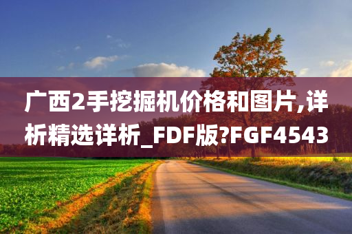 广西2手挖掘机价格和图片,详析精选详析_FDF版?FGF4543