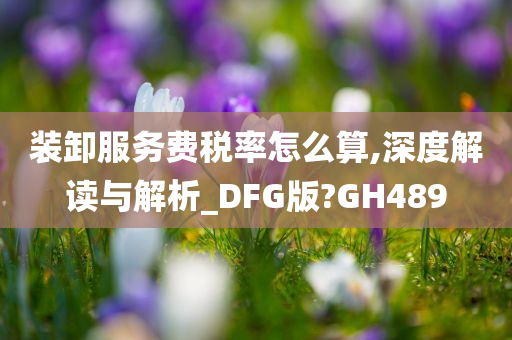 装卸服务费税率怎么算,深度解读与解析_DFG版?GH489