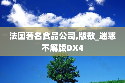 法国著名食品公司,版数_迷惑不解版DX4