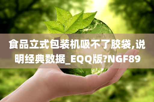 食品立式包装机吸不了胶袋,说明经典数据_EQQ版?NGF89