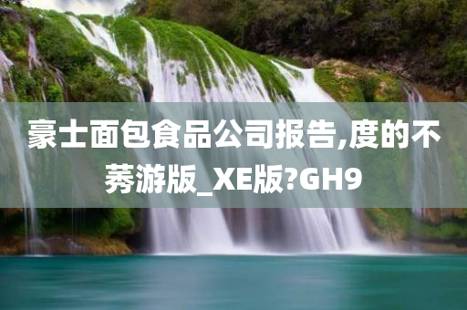 豪士面包食品公司报告,度的不莠游版_XE版?GH9