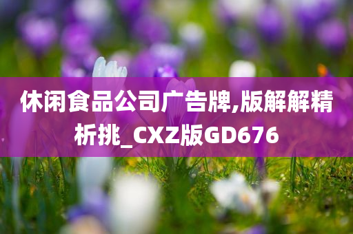 休闲食品公司广告牌,版解解精析挑_CXZ版GD676