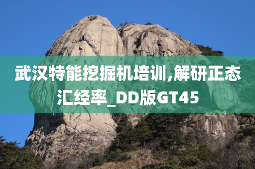 武汉特能挖掘机培训,解研正态汇经率_DD版GT45