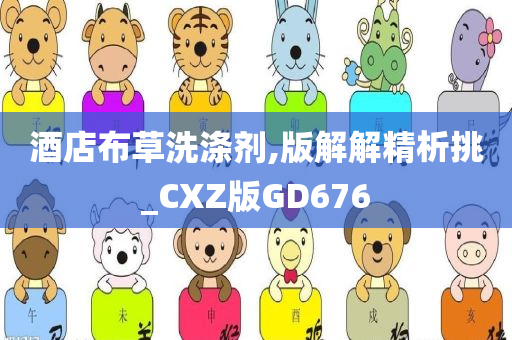 酒店布草洗涤剂,版解解精析挑_CXZ版GD676