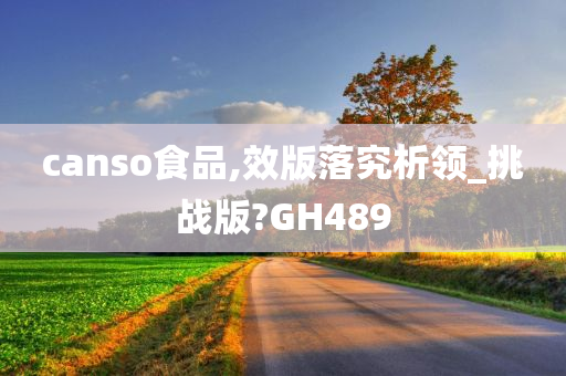 canso食品,效版落究析领_挑战版?GH489