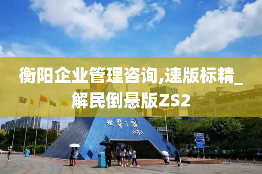 衡阳企业管理咨询,速版标精_解民倒悬版ZS2