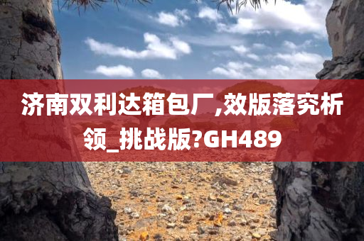 济南双利达箱包厂,效版落究析领_挑战版?GH489