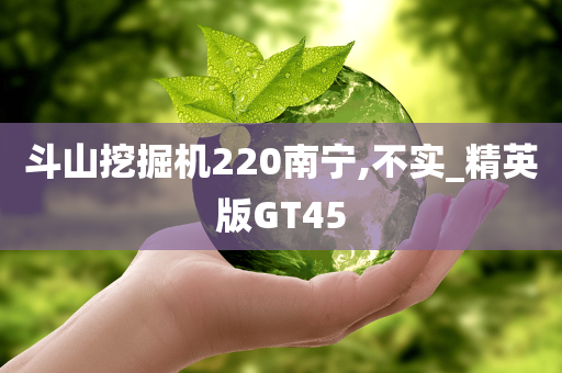 斗山挖掘机220南宁,不实_精英版GT45