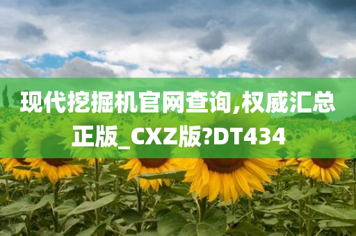 现代挖掘机官网查询,权威汇总正版_CXZ版?DT434