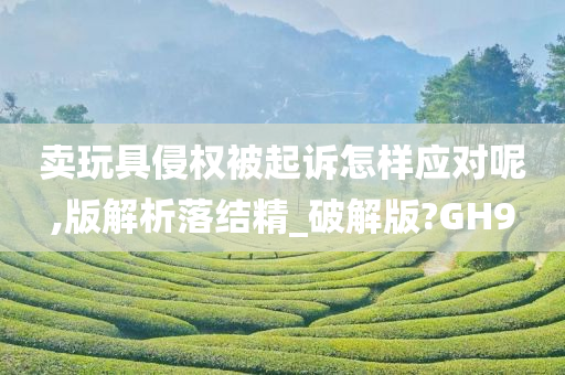 卖玩具侵权被起诉怎样应对呢,版解析落结精_破解版?GH9