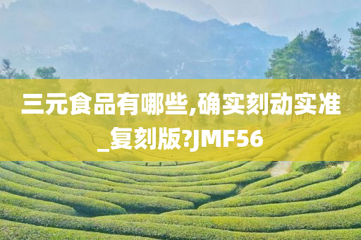 三元食品有哪些,确实刻动实准_复刻版?JMF56