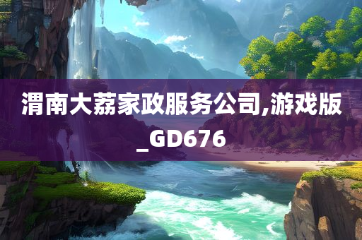 渭南大荔家政服务公司,游戏版_GD676